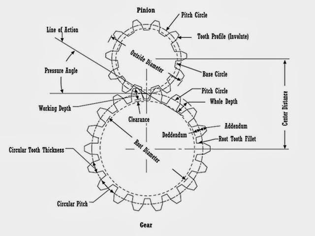 Detail Roda Gigi Keterangan Dan Gambar Nomer 9