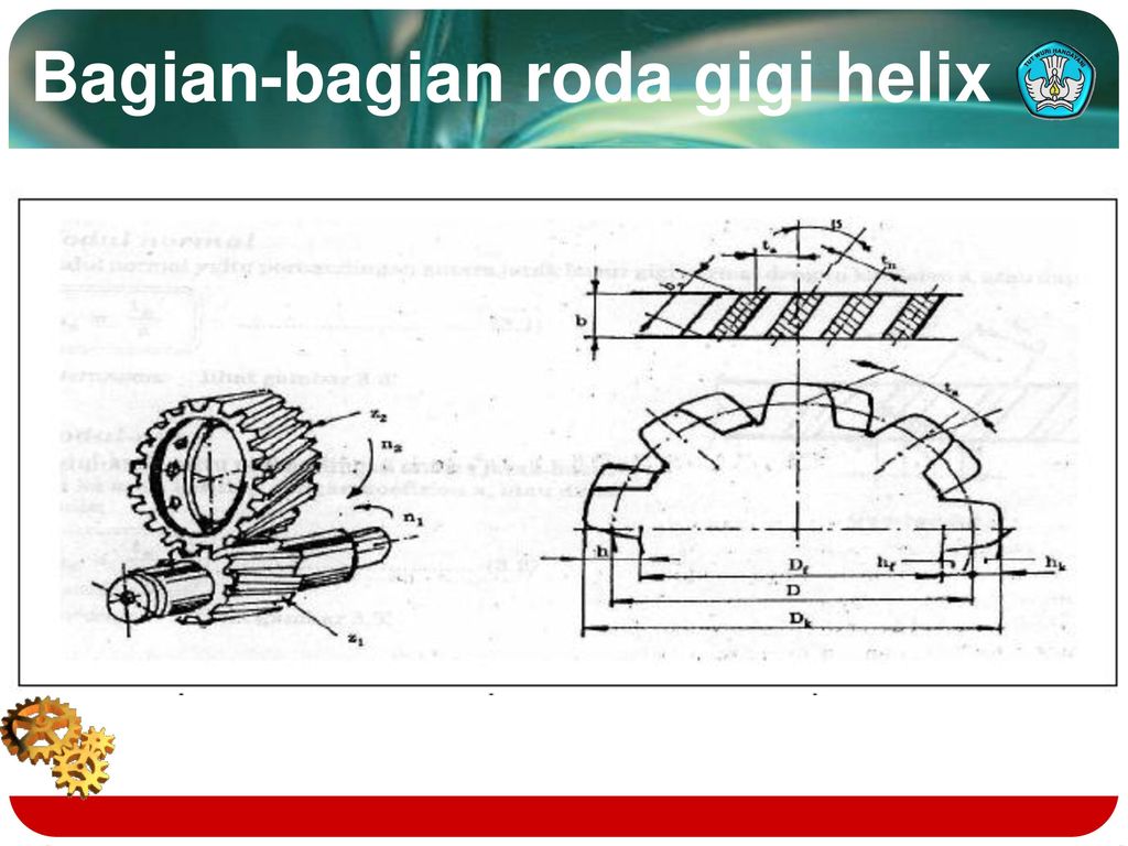 Detail Roda Gigi Keterangan Dan Gambar Nomer 17