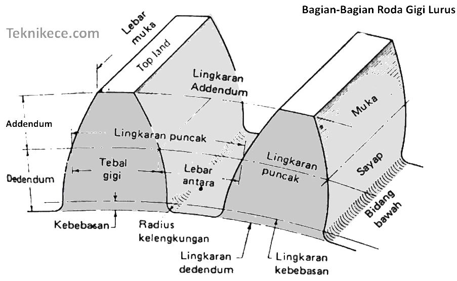 Detail Roda Gigi Keterangan Dan Gambar Nomer 2