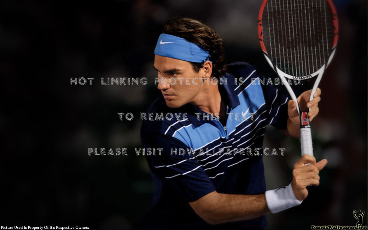 Detail Roger Federer Wallpaper Nomer 45