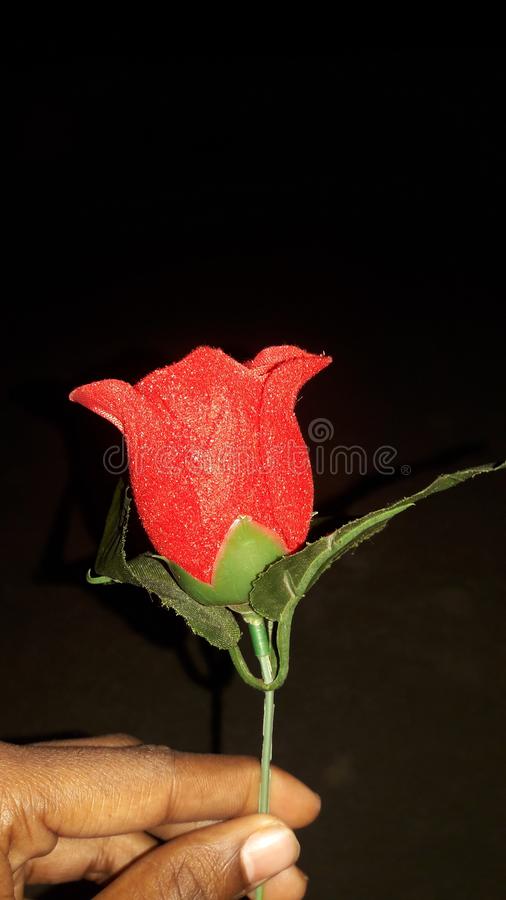 Roj Image - KibrisPDR