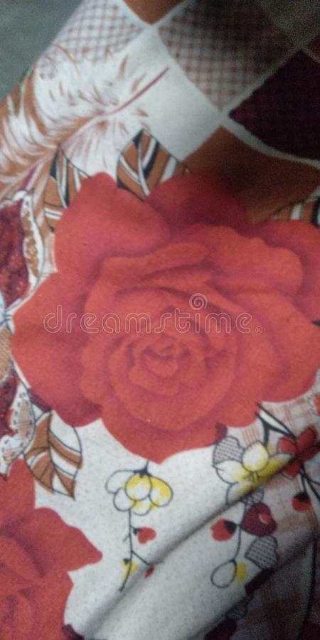 Detail Roj Image Nomer 31