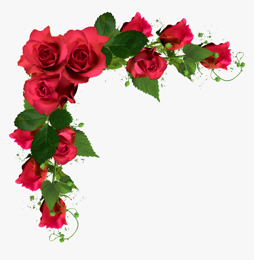 Detail Roja Flower Nomer 26