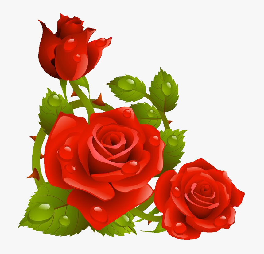 Detail Roja Flower Nomer 28