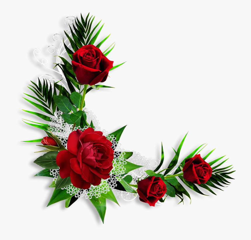 Detail Roja Flower Nomer 35