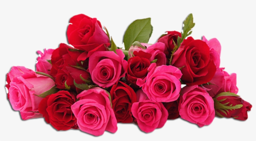 Detail Roja Flower Nomer 49