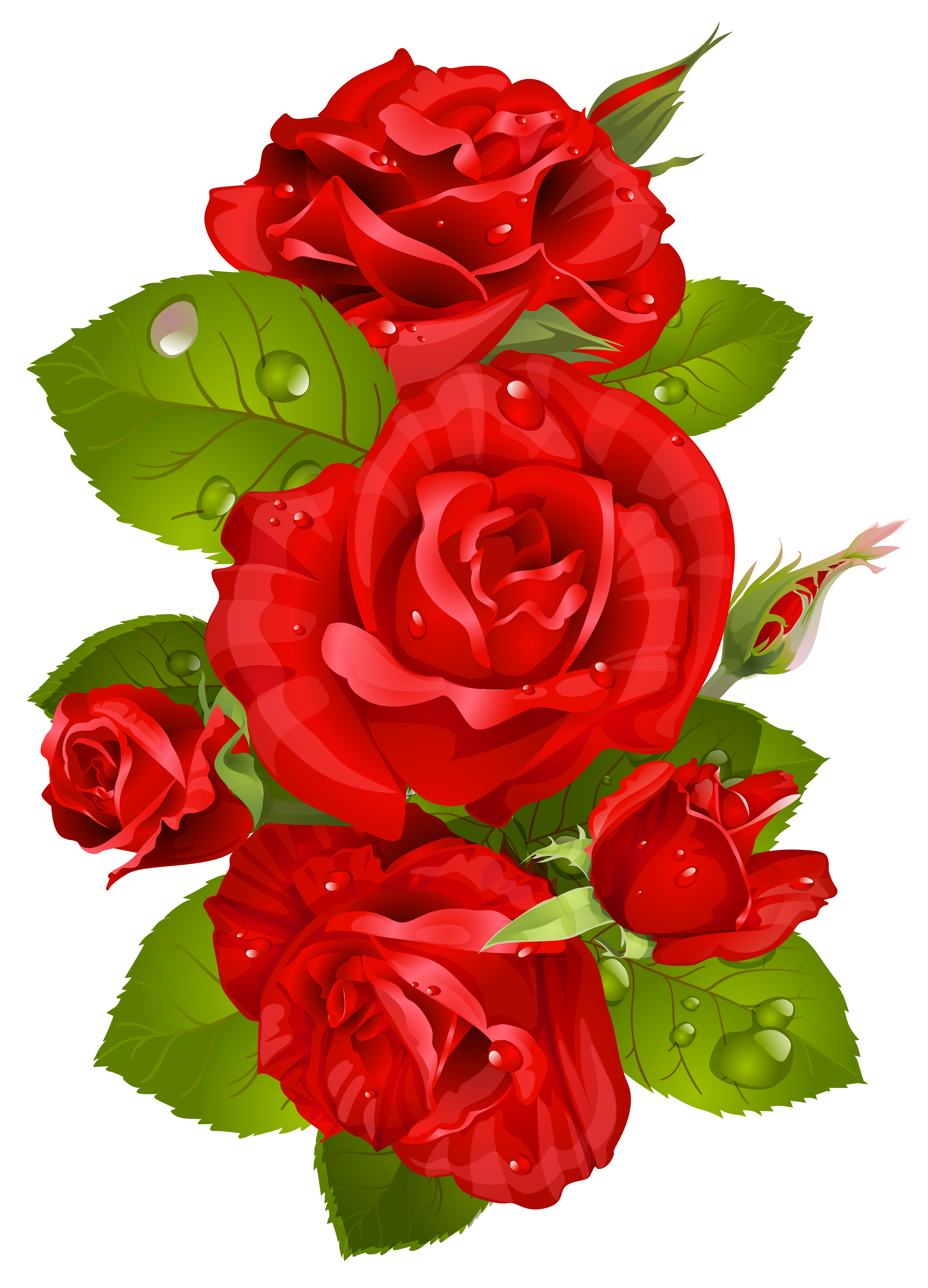 Detail Roja Flower Nomer 6