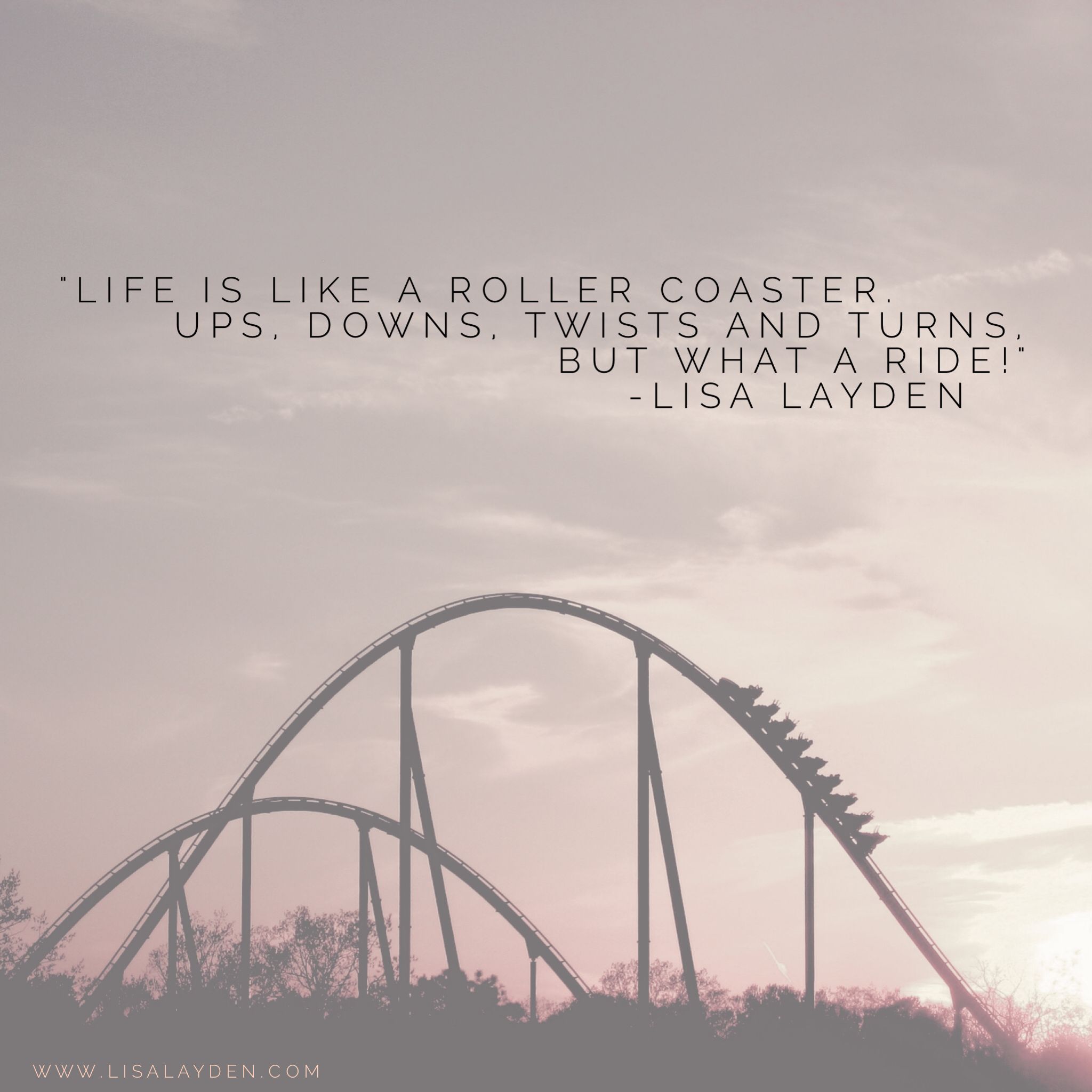 Detail Roller Coaster Quotes Nomer 3