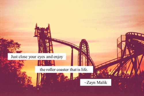 Detail Roller Coaster Quotes Nomer 21