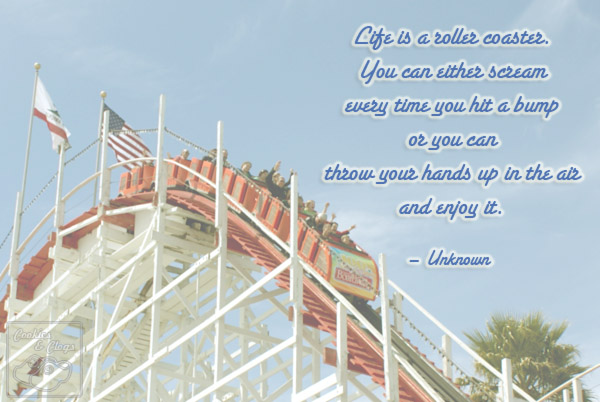 Detail Roller Coaster Quotes Nomer 31
