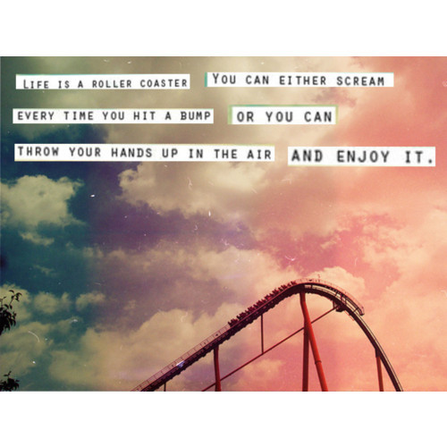 Detail Roller Coaster Quotes Nomer 42