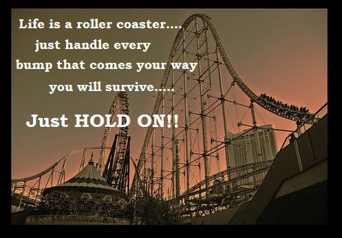 Detail Roller Coaster Quotes Nomer 7