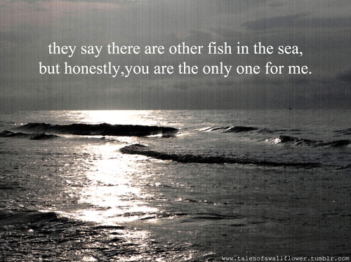 Detail Romantic Quotes About Sea Nomer 31