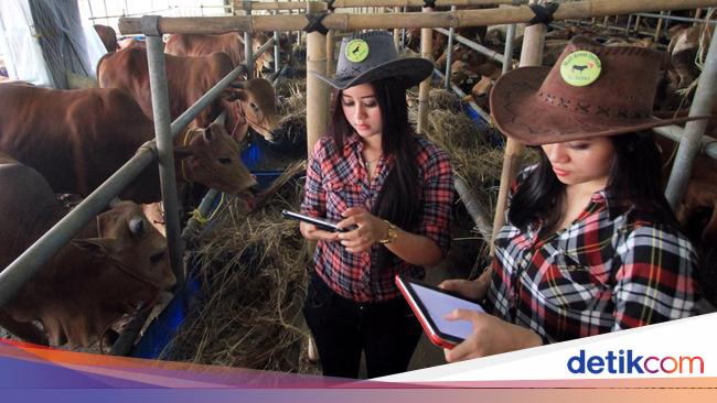 Detail Rompi Koboi Wanita Nomer 23