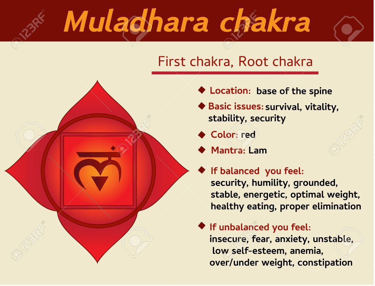 Detail Root Chakra Image Nomer 8