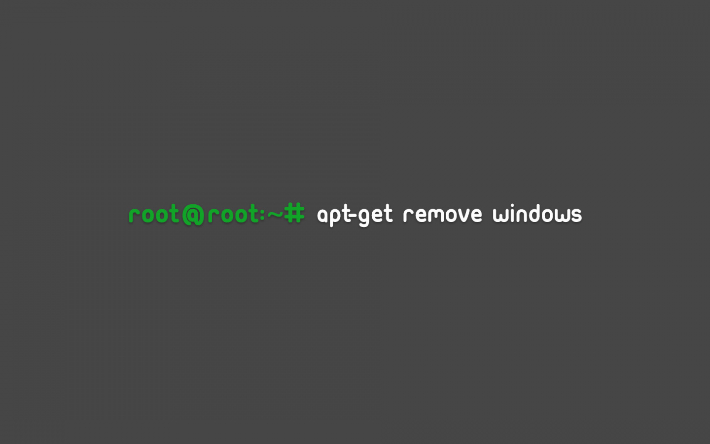 Detail Root Wallpaper Nomer 10