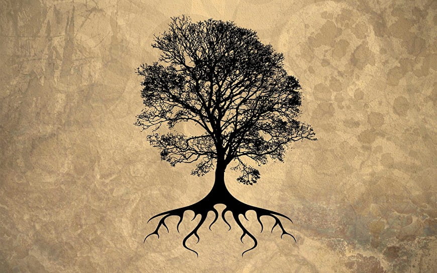 Detail Root Wallpaper Nomer 17