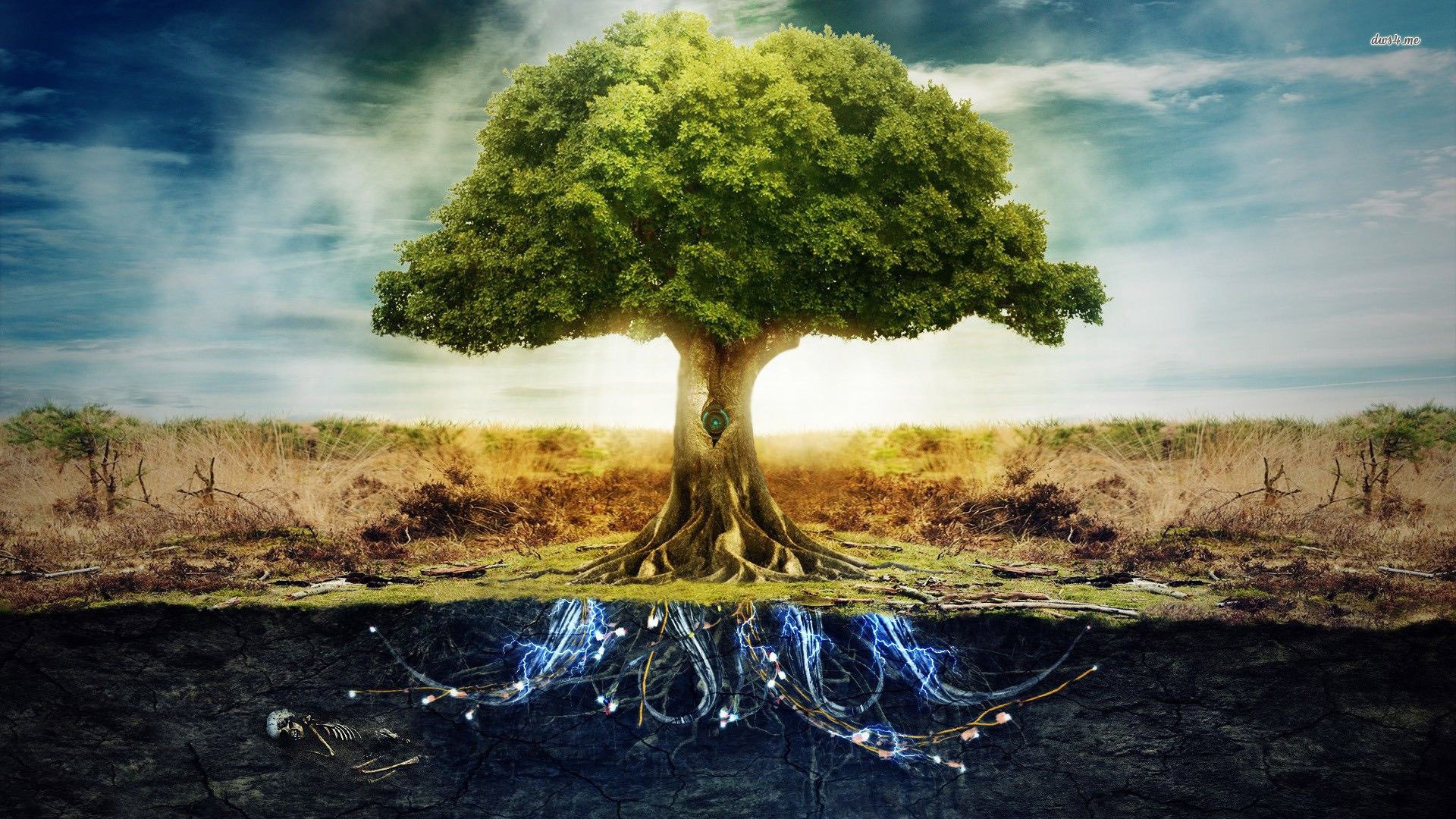 Detail Root Wallpaper Nomer 21