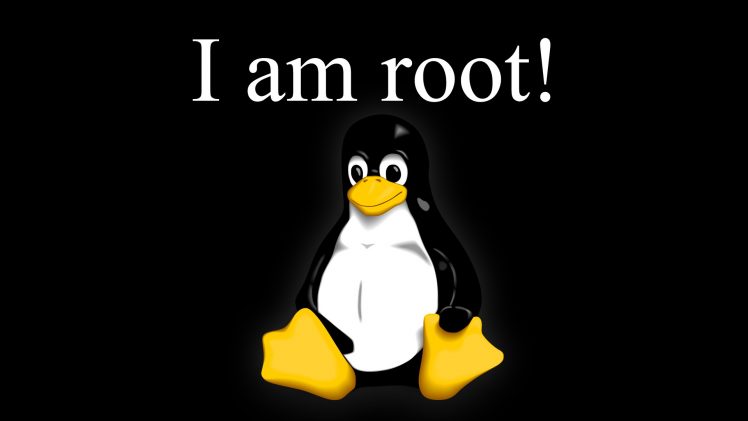 Detail Root Wallpaper Nomer 8
