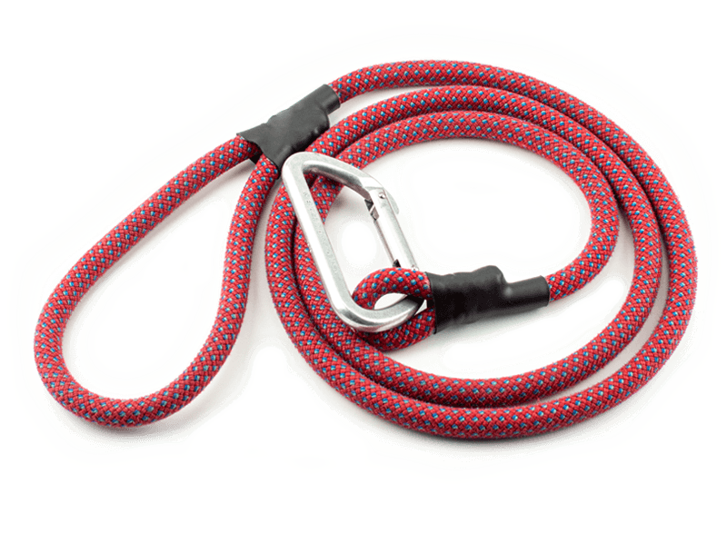 Detail Rope Dog Leash With Carabiner Nomer 22