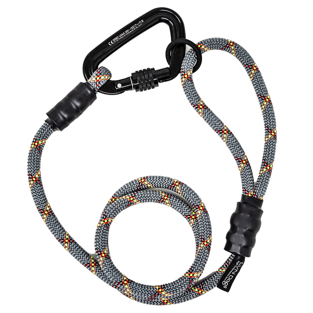 Detail Rope Dog Leash With Carabiner Nomer 28