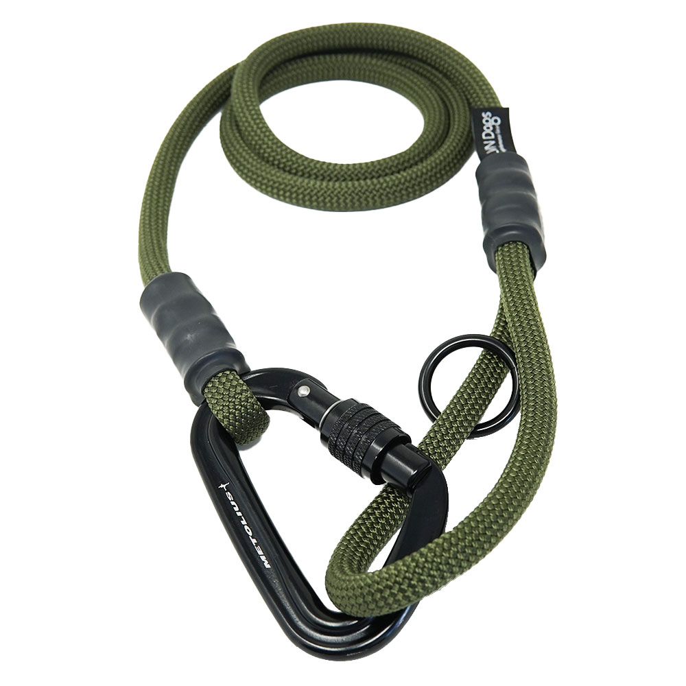 Detail Rope Dog Leash With Carabiner Nomer 36