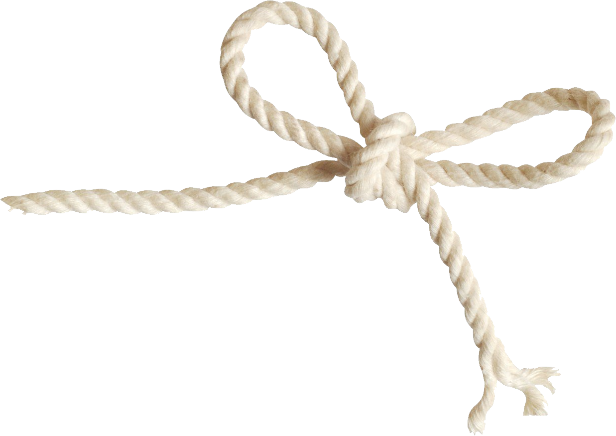 Detail Rope Transparent Background Nomer 27