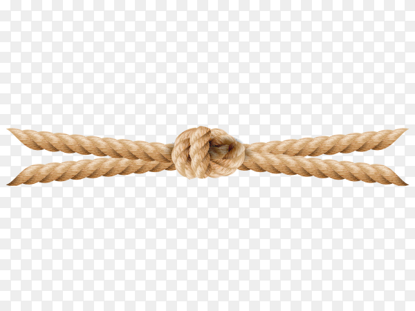 Detail Rope Vector Png Nomer 6