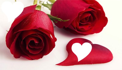 Detail Rosas Images Nomer 14