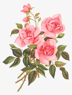 Detail Rosas Images Nomer 48