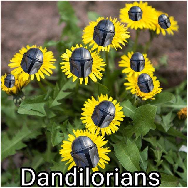 Detail Rose And Dandelion Meme Nomer 18