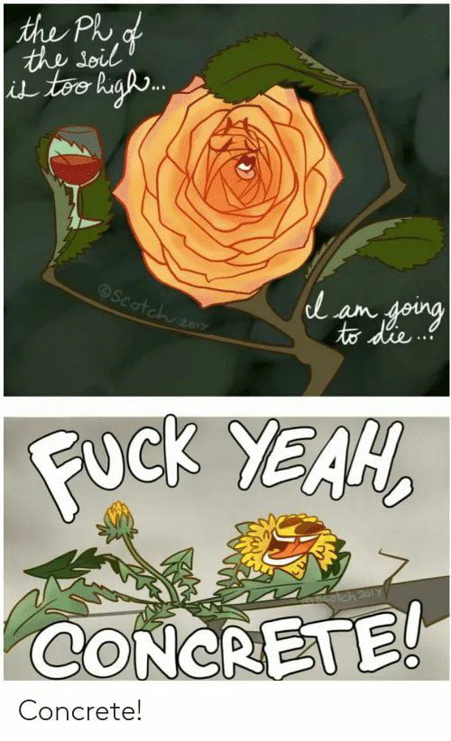 Detail Rose And Dandelion Meme Nomer 7
