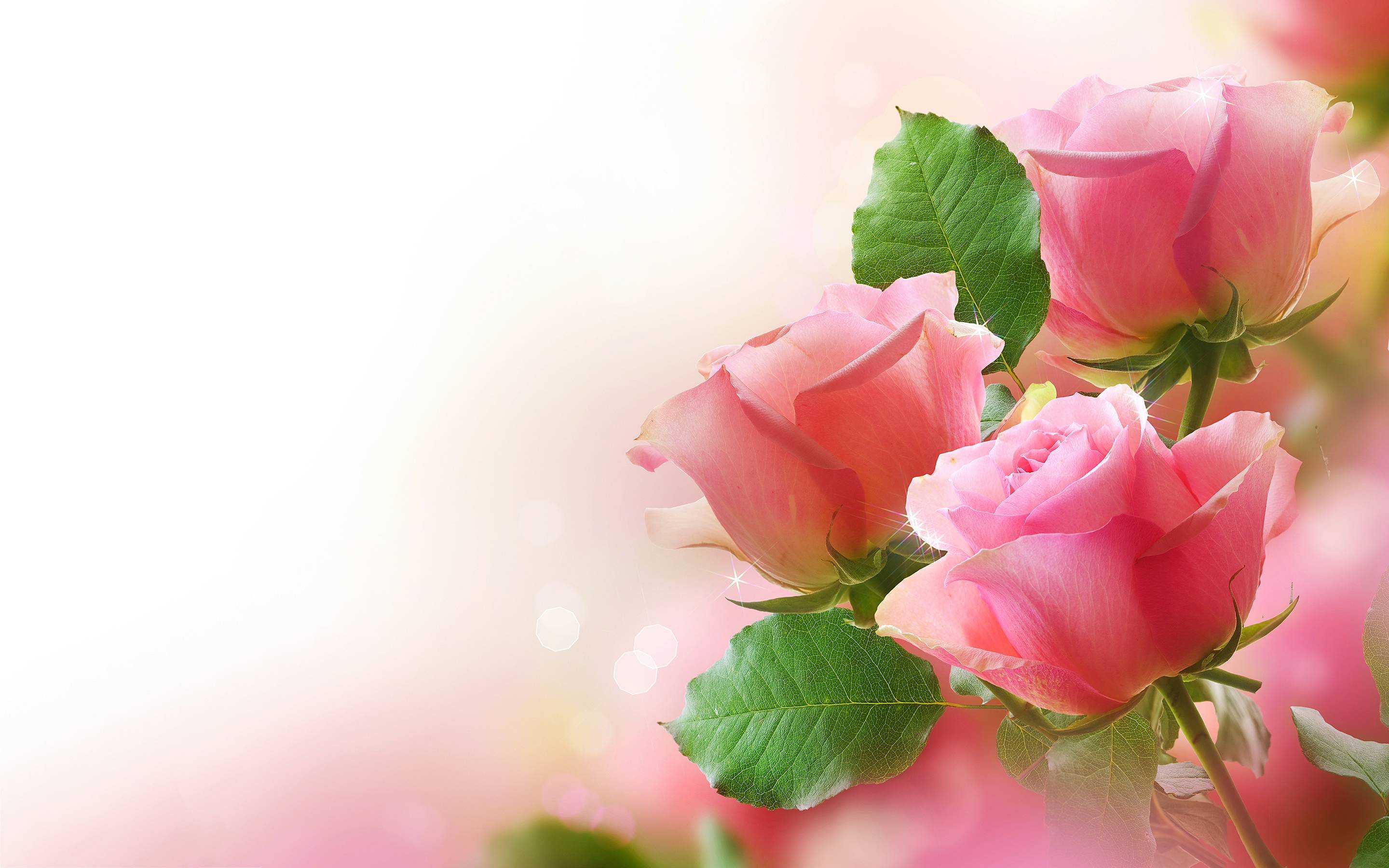 Detail Rose Background Nomer 28