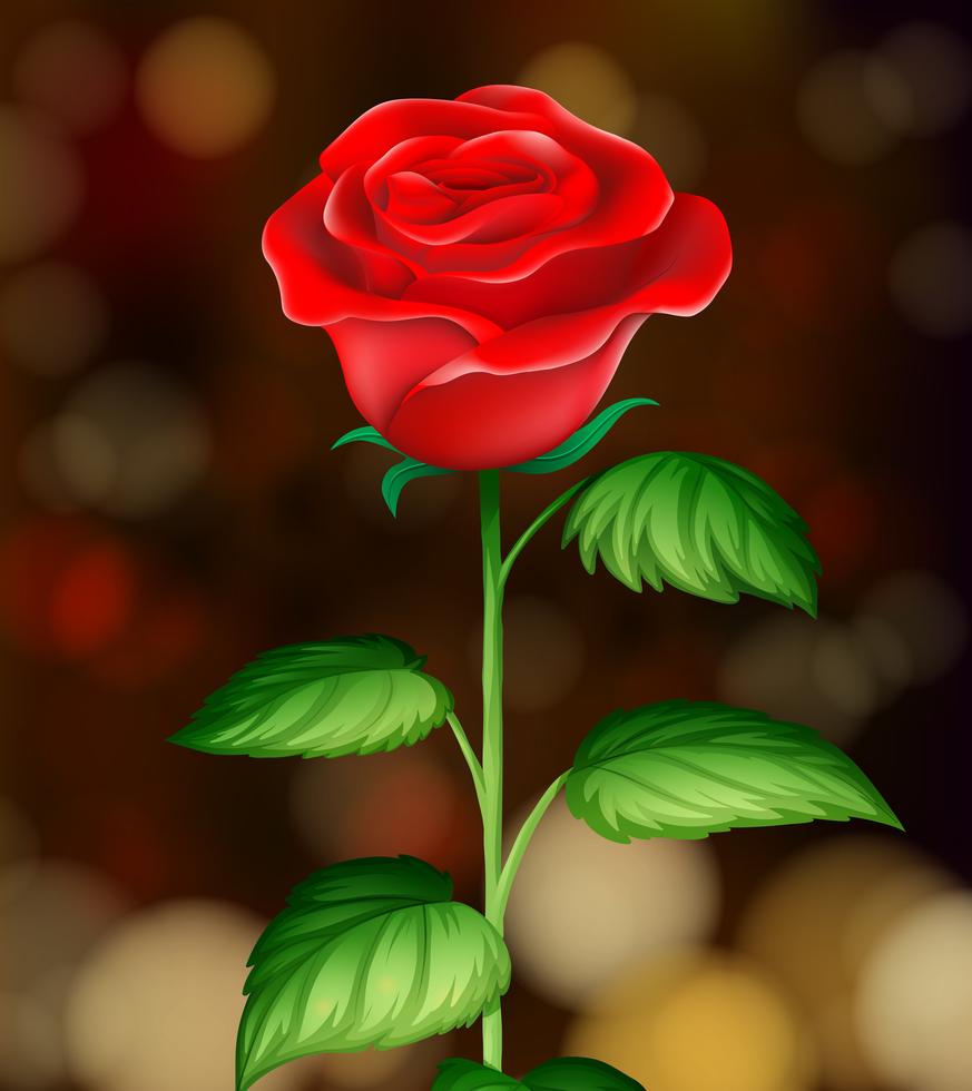 Detail Rose Background Nomer 34