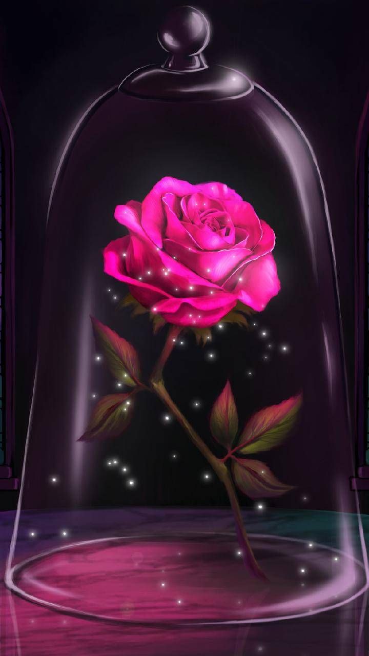 Detail Rose Background Image Nomer 43