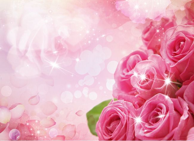 Detail Rose Background Png Nomer 21