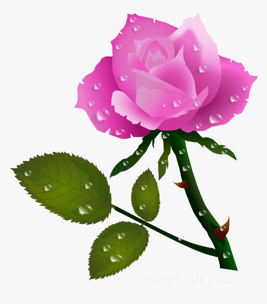 Detail Rose Bouquet Images Free Download Nomer 38