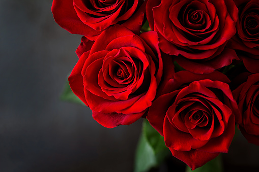 Detail Rose Bouquet Images Free Download Nomer 40