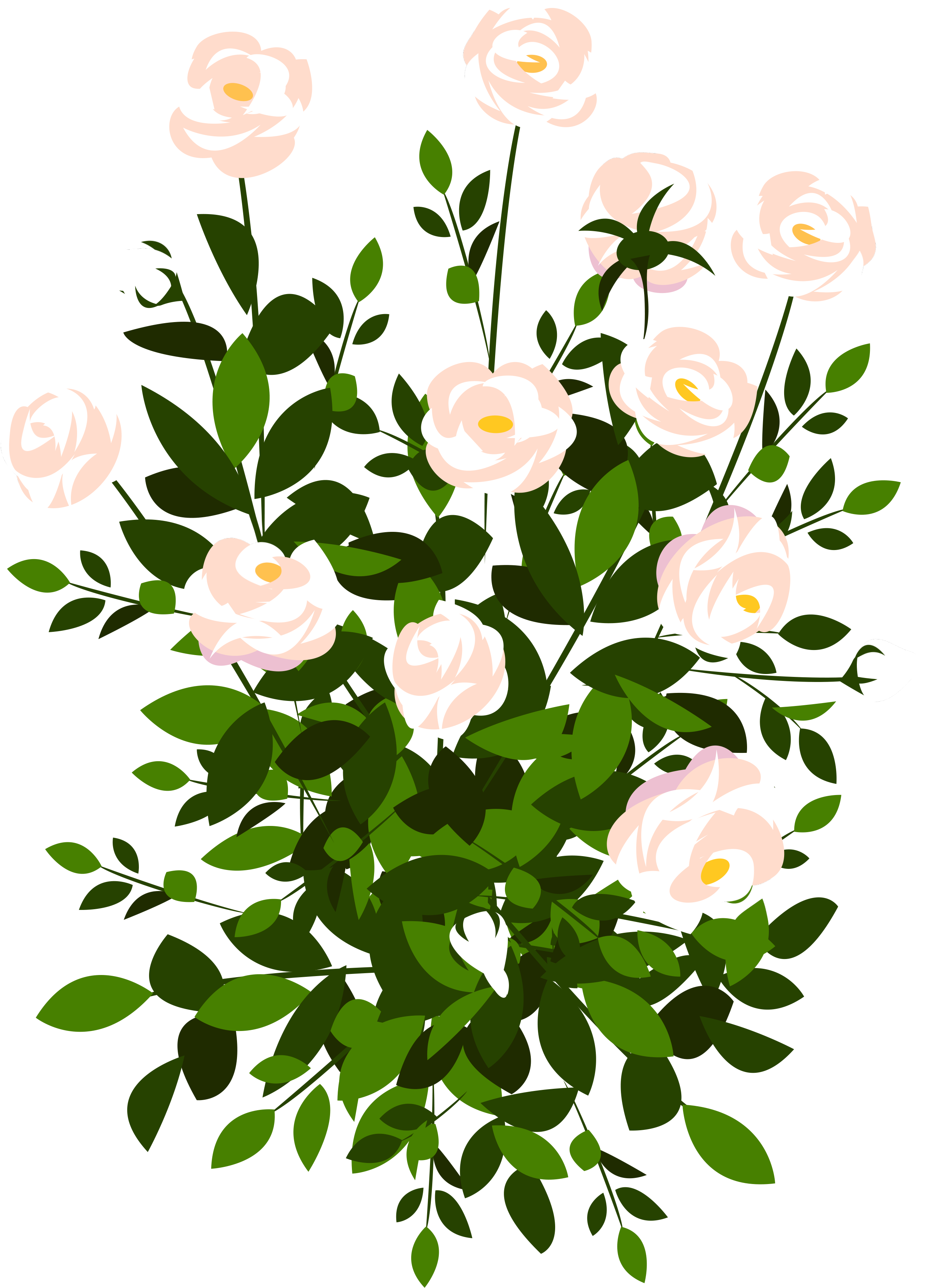 Detail Rose Bushes Clipart Nomer 13