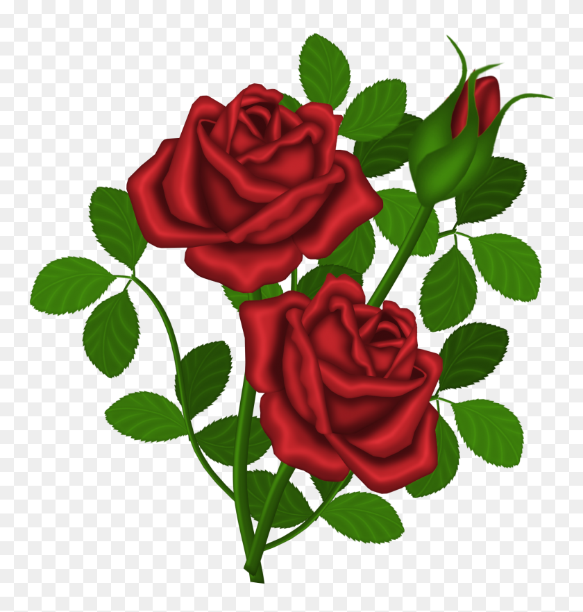 Detail Rose Bushes Clipart Nomer 16