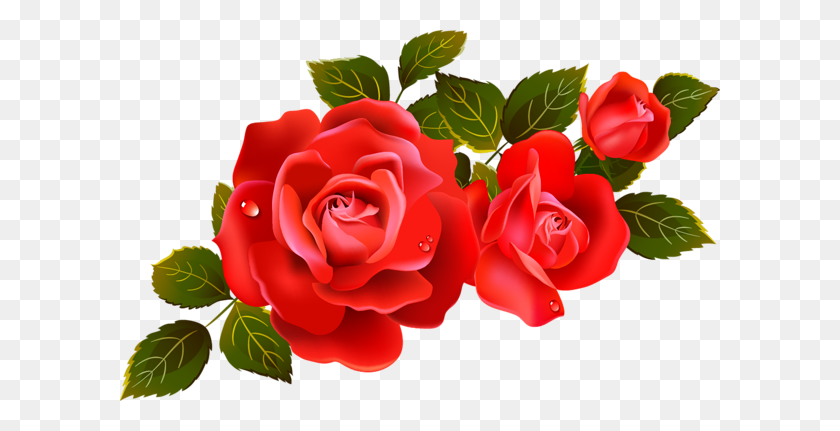 Detail Rose Bushes Clipart Nomer 17