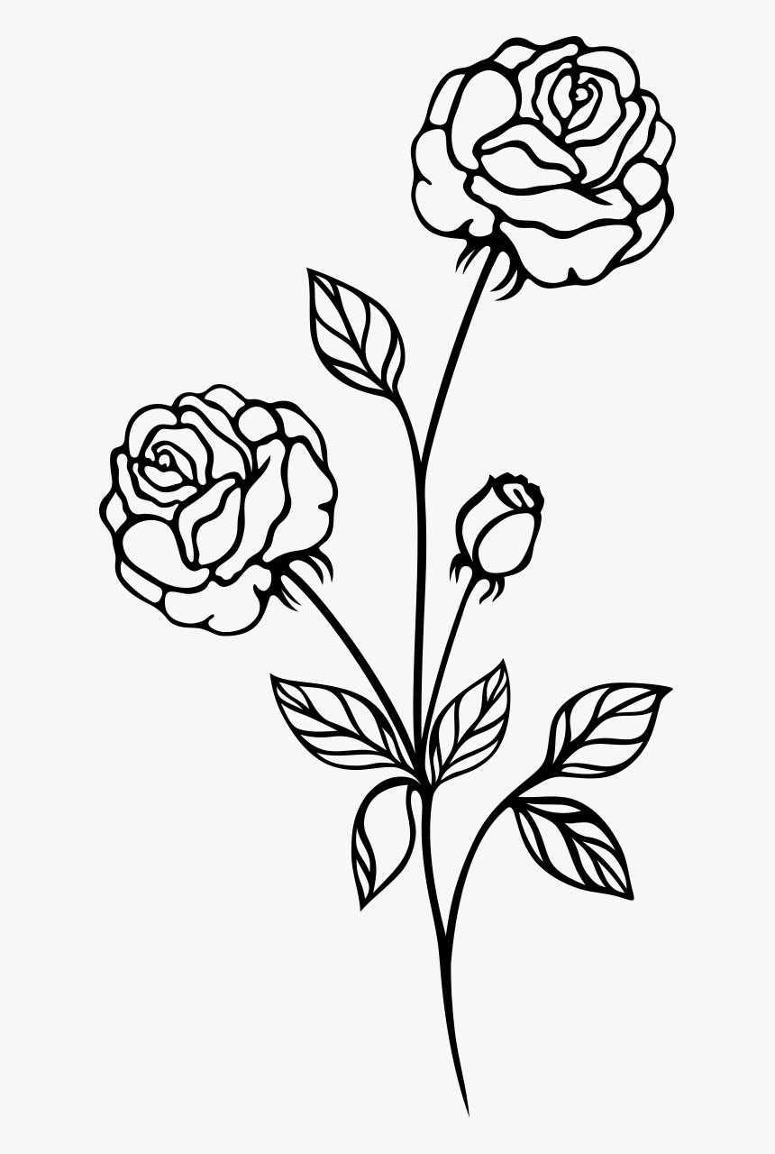 Detail Rose Bushes Clipart Nomer 20