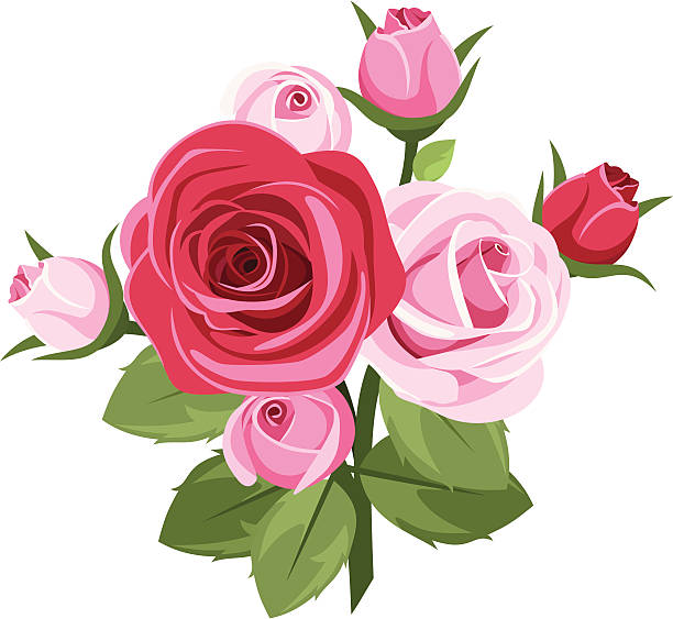 Detail Rose Bushes Clipart Nomer 3