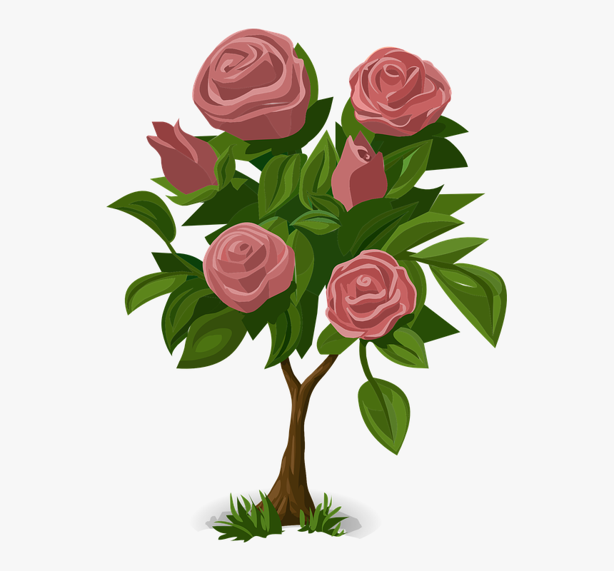 Detail Rose Bushes Clipart Nomer 33