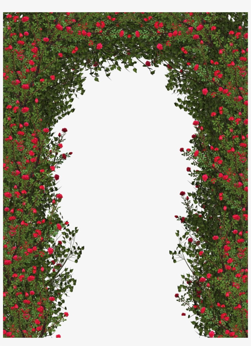 Detail Rose Bushes Clipart Nomer 47