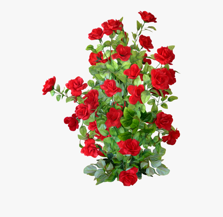 Detail Rose Bushes Clipart Nomer 7