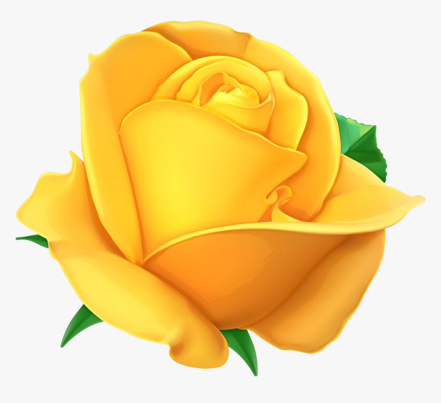 Detail Rose Clear Background Nomer 32