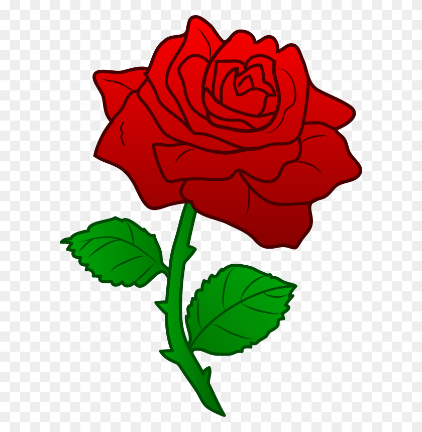 Detail Rose Clear Background Nomer 50