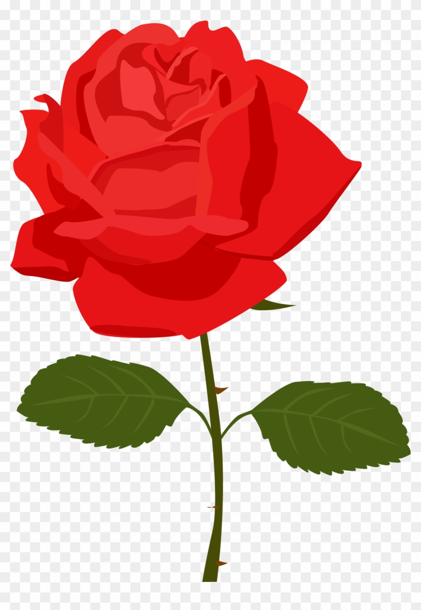 Detail Rose Clear Background Nomer 52