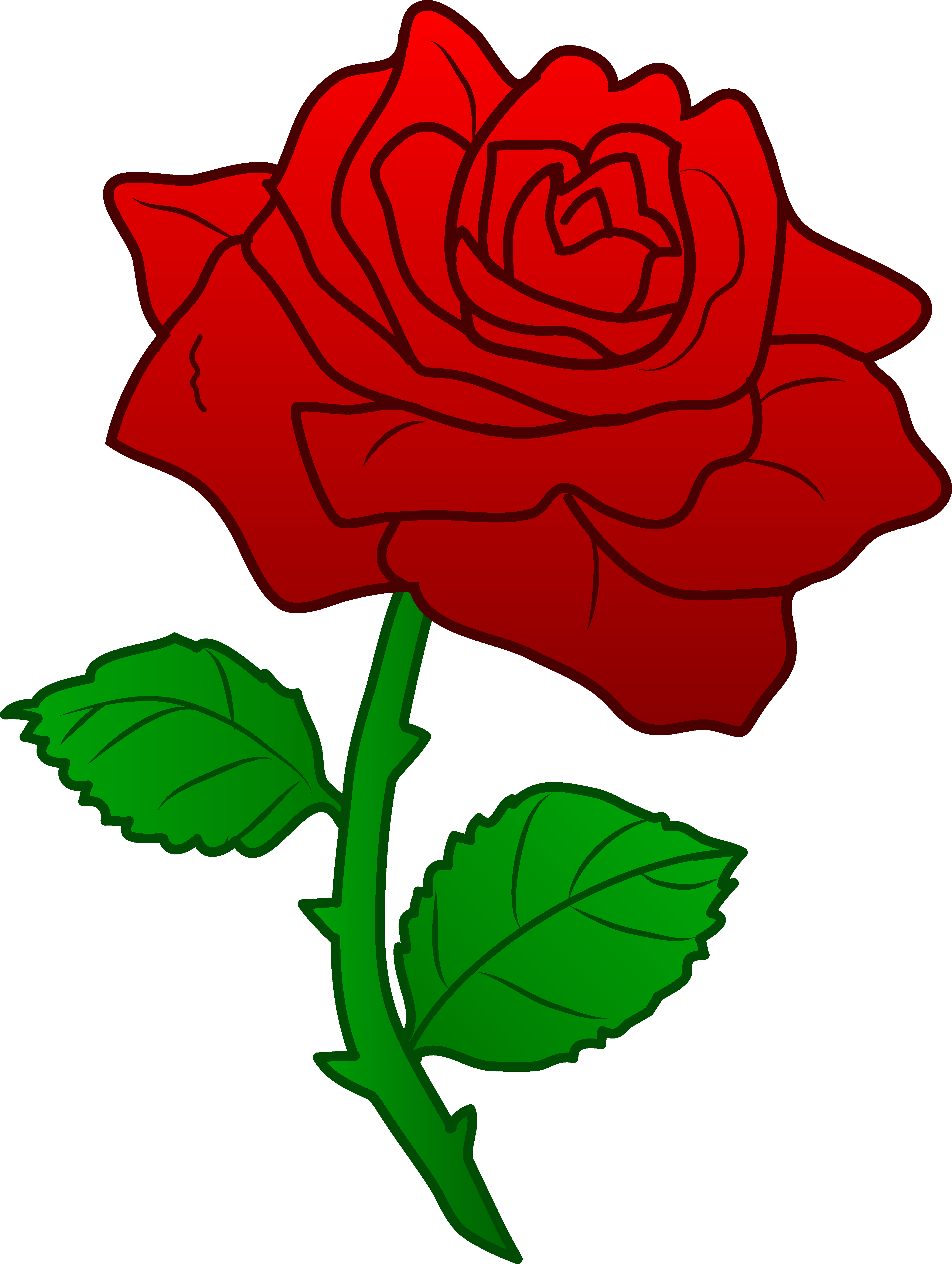 Rose Clipart - KibrisPDR